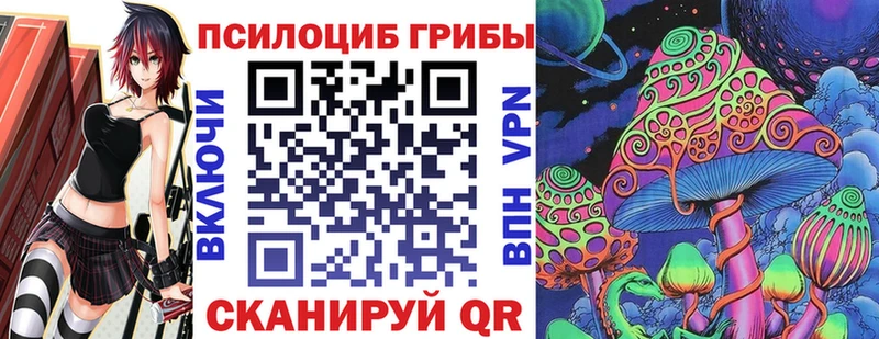 Псилоцибиновые грибы Psilocybine cubensis  Исилькуль 