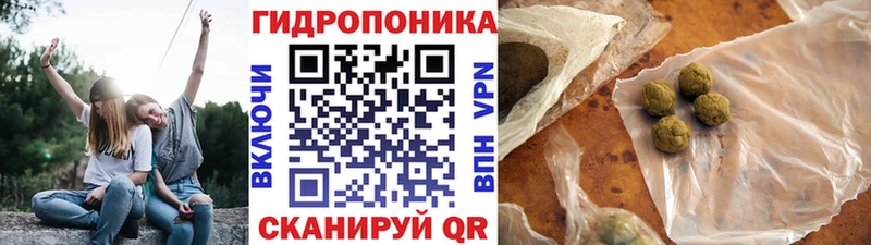 Канабис сатива  наркотики  Исилькуль 